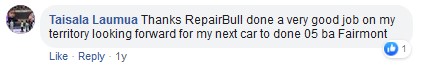 roof lining repair review