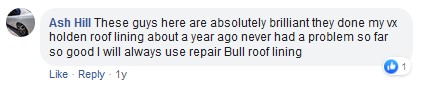 repair bull review