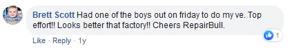 roof lining review