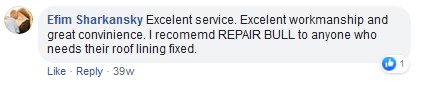 head liner repair review