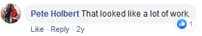 roof lining review