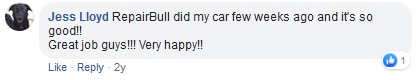 hoodlining review