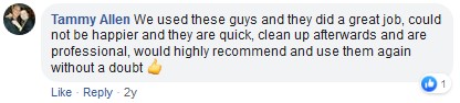 headliner repair review