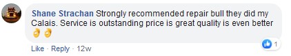 repair bull review