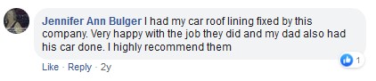 roof lining repair review