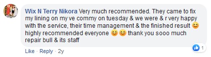 roof lining review