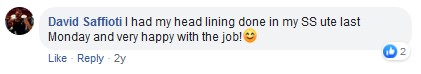 headliner repair review